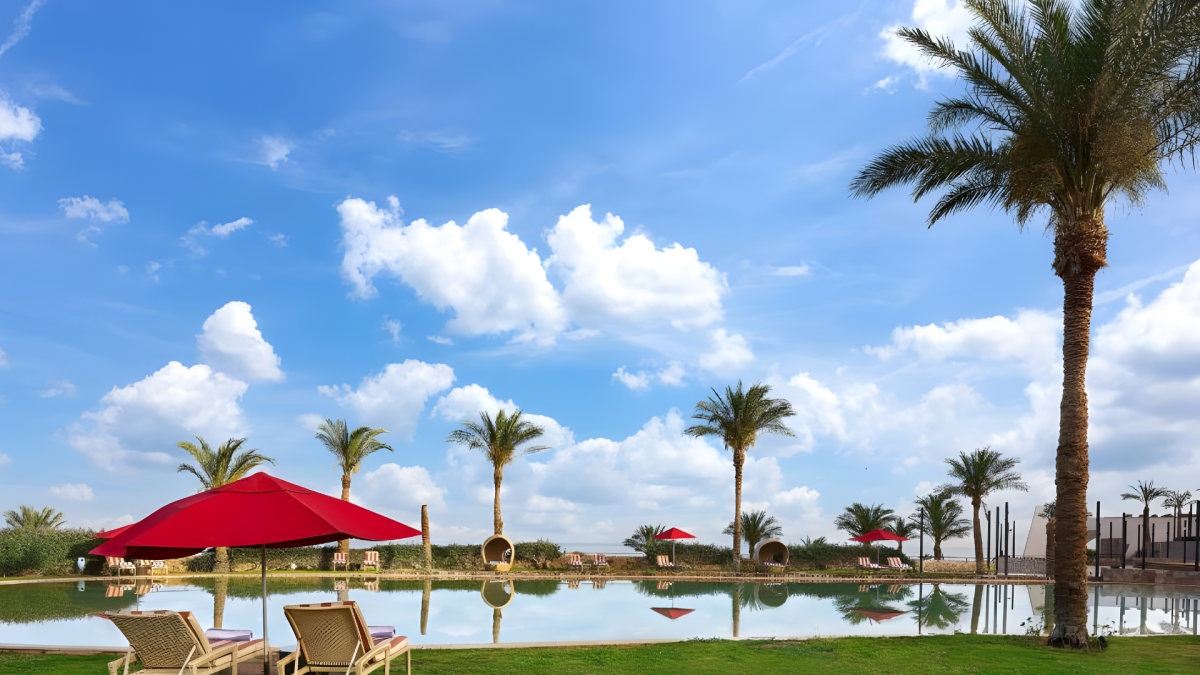 أفضل المطاعم في الإسكندرية لعام 2024