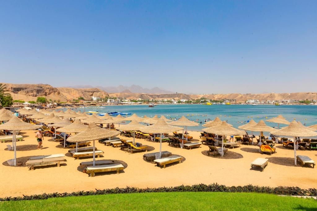 صورة الفندق 8
