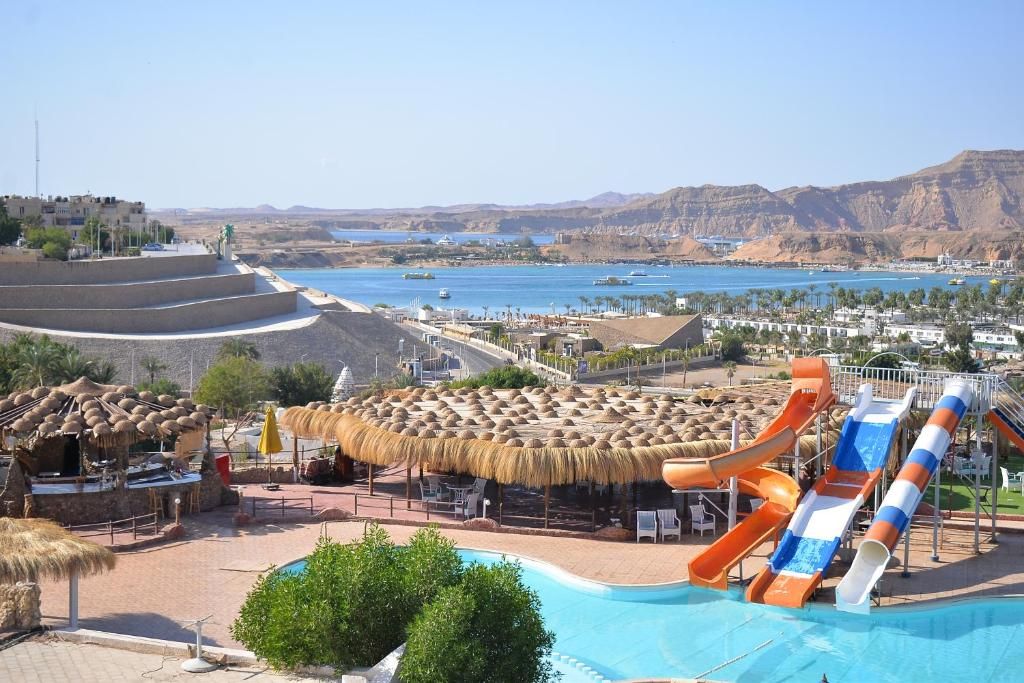 عايدة