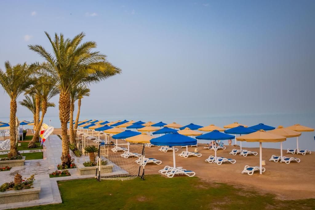 صورة الفندق 11