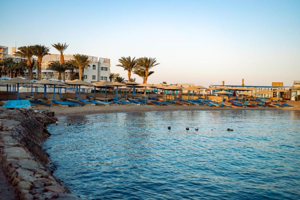 صورة الفندق 8