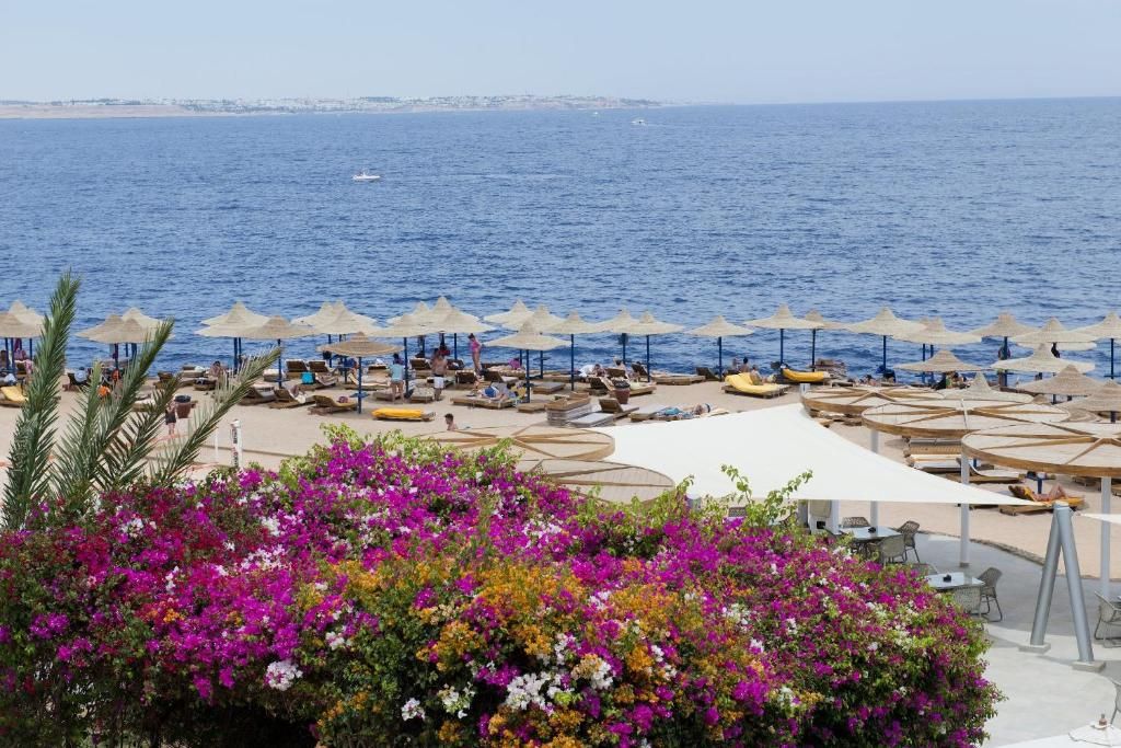 صورة الفندق 2