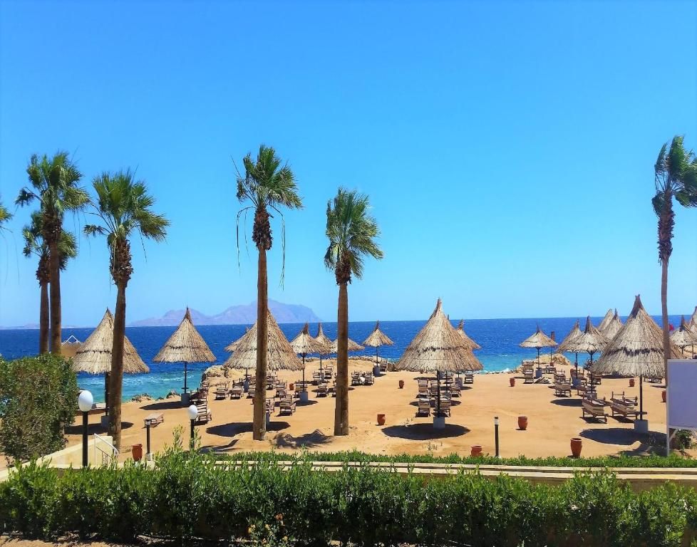 صورة الفندق 8