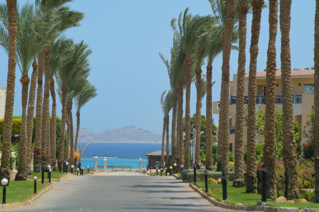 صورة الفندق 7