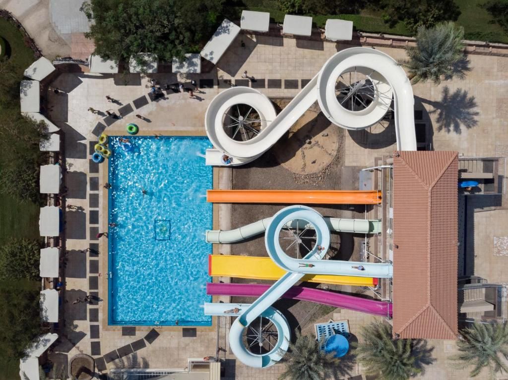 دزرت روز