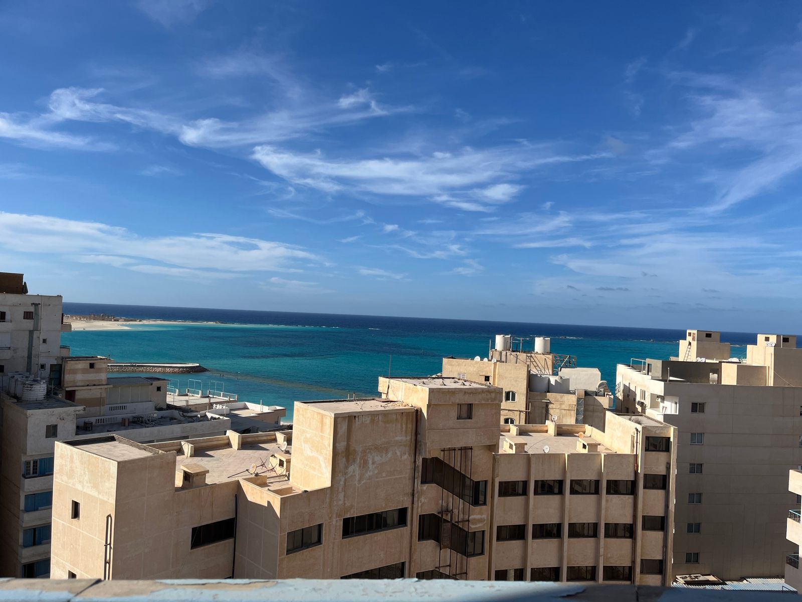 أحمد محمود