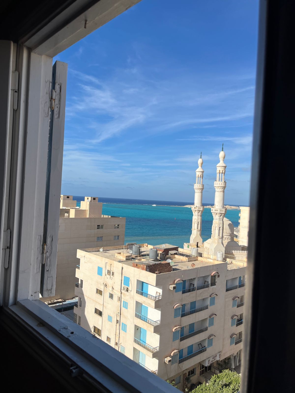 محمد علي